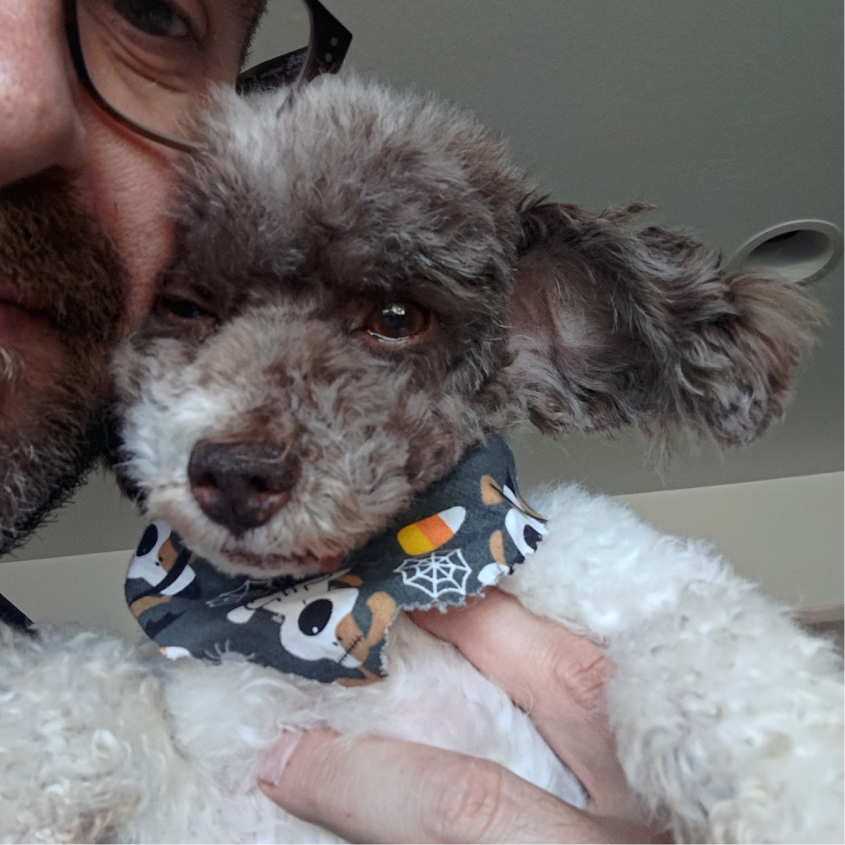Leroy, my six-pounds of sass.